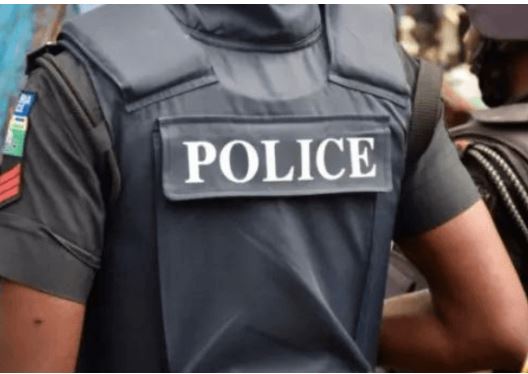 Fleeing Kano kidnap, murder suspect in police net