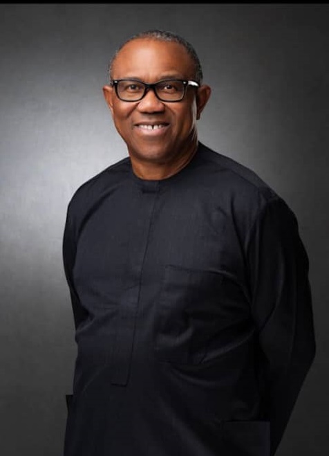 IMPI and Bayo Onanuga: Stop Blaming Peter Obi for Tinubu’s Failures : - NNPO
