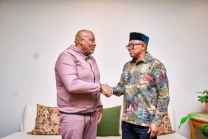 Peter Obi meets South African ministers