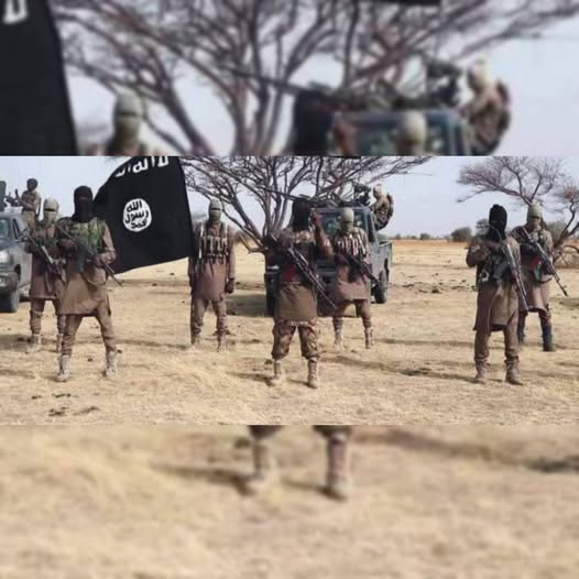 ISWAP Commander Hunted By US Drones For 6 Months