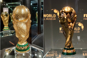 FIFA World Cup: A Gallant Finish